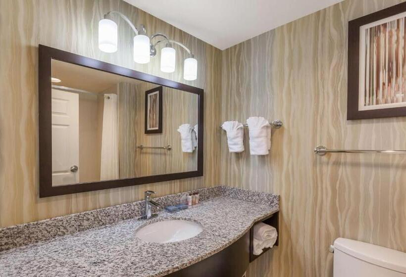 Студия Стандарт, La Quinta Inn & Suites By Wyndham Tulsa Midtown
