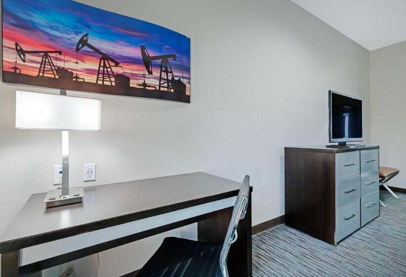 Номер Стандарт, Best Western Plus Pleasanton