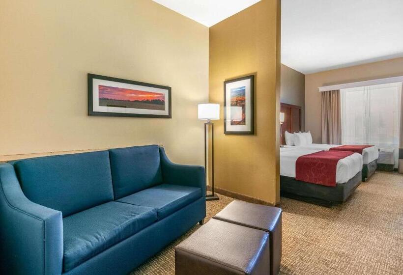 Люкс, Comfort Suites