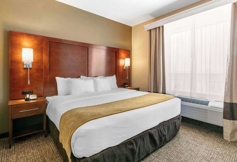 Люкс Адаптированный для Инвалидов, Comfort Suites