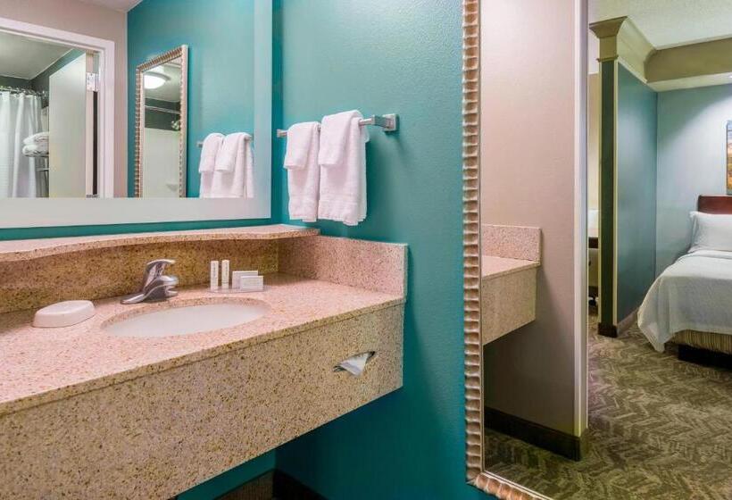 Студио Стандарт Кровать Кинг, Springhill Suites Richmond Northwest