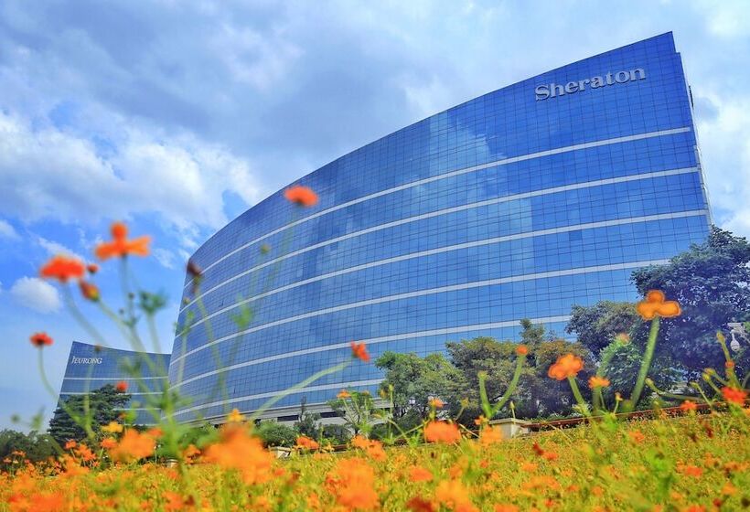 Студио Club, Sheraton Fuzhou