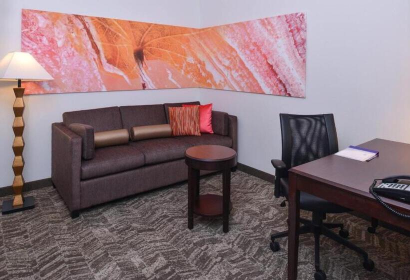 Люкс, Springhill Suites By Marriott Oklahoma City Airport