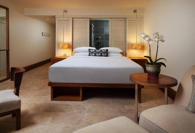 Стандартный Номер Кровать Кинг, Andaz Maui At Wailea Resort   A Concept By Hyatt