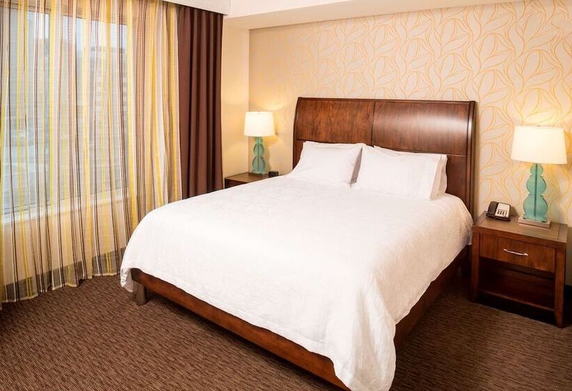 Полулюкс, Hilton Garden Inn Sioux Falls Downtown