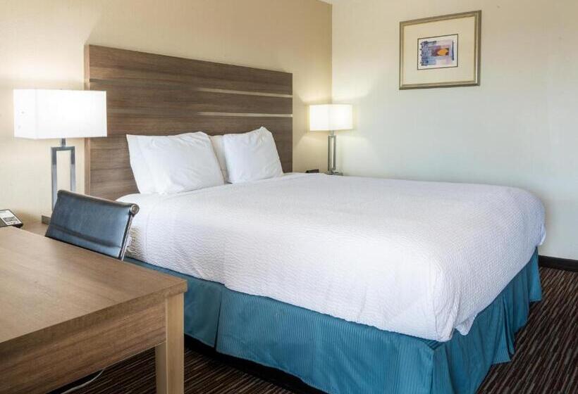 스탠다드 룸 킹사이즈 침대, Rodeway Inn Near Universitygateway To Yosemite