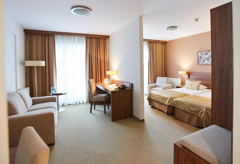 Номер бизнес-класса, Arche Hotel Puławska Residence