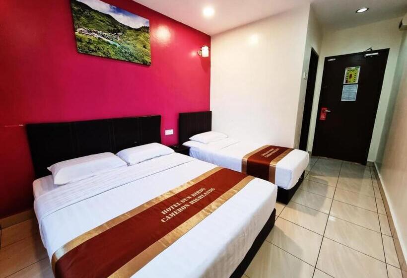 Quarto Triplo Estandar, Sun Birds
