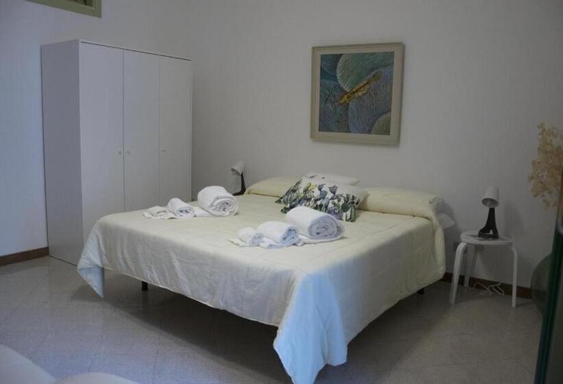 اتاق استاندارد, Ficodindia Rooms