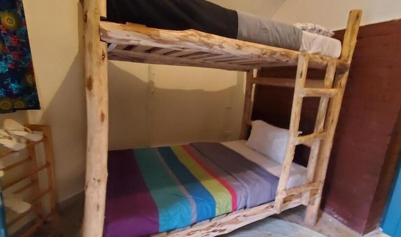 Номер Стандарт, Kizumba House