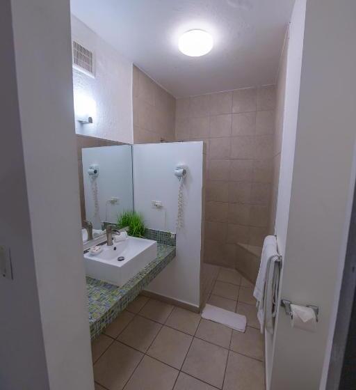 اتاق سوپریور با تخت بزرگ, Casa Verde