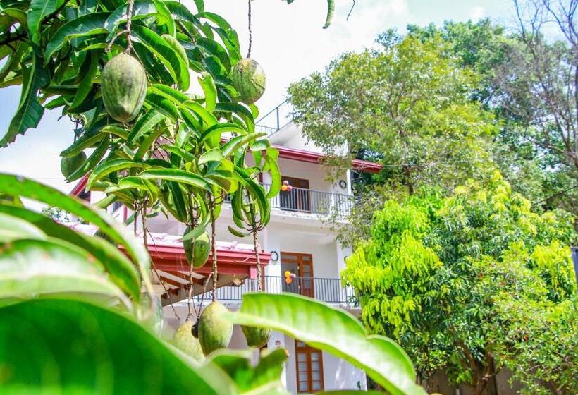 豪华房间, Three Elephant Holiday Inn