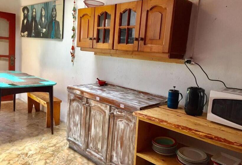 Cama em Quarto Compartilhado, Hostel Raiz