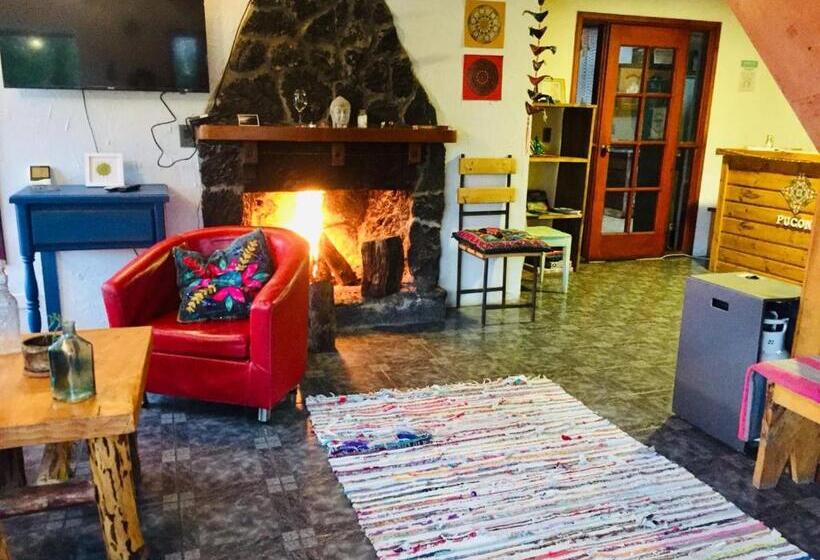 Quarto Estandar Banheiro Compartilhado, Hostel Raiz