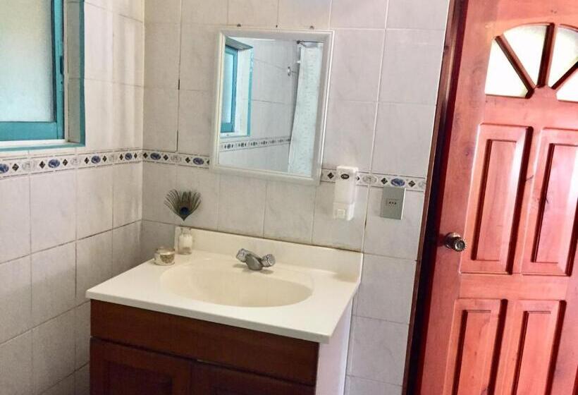 Quarto Estandar, Hostel Raiz