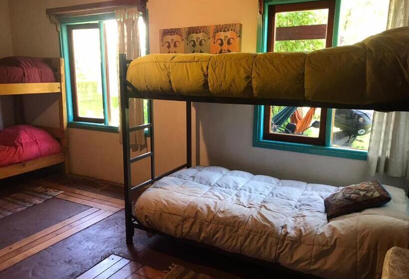 Cama em Quarto Compartilhado, Hostel Raiz