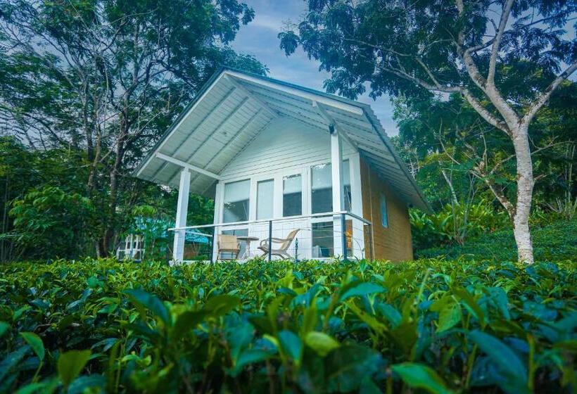 シャレー・スペリアー1寝室, Ilukketiya Tea Chalets