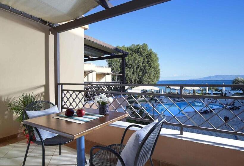Полулюкс, Avantis Suites