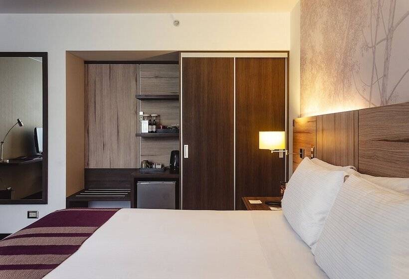 Одноместный Номер Executive, Aku Hotels