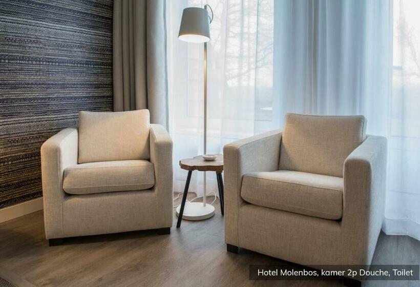Standard Single Room, Molenbos Texel