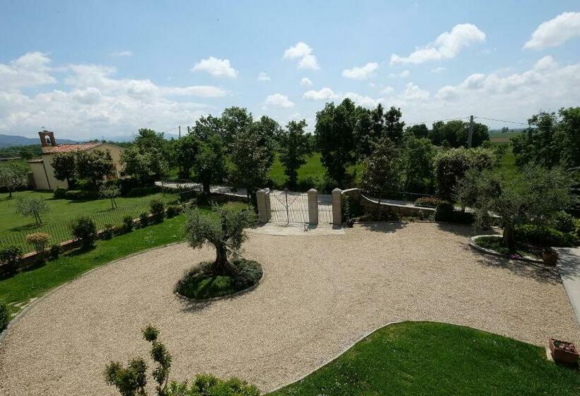 اتاق استاندارد, Leopoldina L Orto