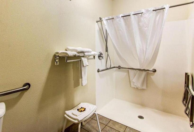 Номер Стандарт Адаптированный для Инвалидов, Best Western Plus Vancouver Mall Drive