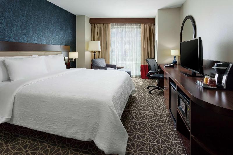 اتاق استاندارد با تخت بزرگ, Hilton Garden Inn Washington Dc/georgetown Area