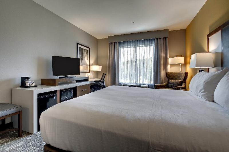Номер Executive Кровать Кинг, Holiday Inn Express Hotel & Suites Albany By Ihg