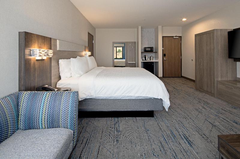 Люкс Кровать Кинг, Holiday Inn Express & Suites   Valencia   Santa Clarita, An Ihg