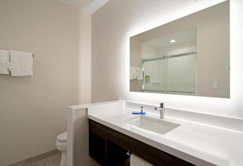 장애인을 위한 스탠다드 룸, Holiday Inn Express & Suites   Valencia   Santa Clarita, An Ihg