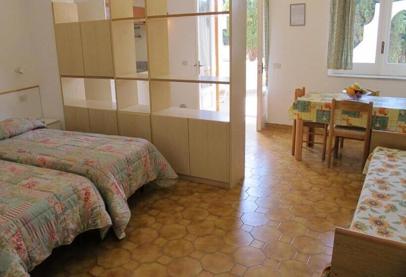 Студия Стандарт, Aparthotel Villa Marinù
