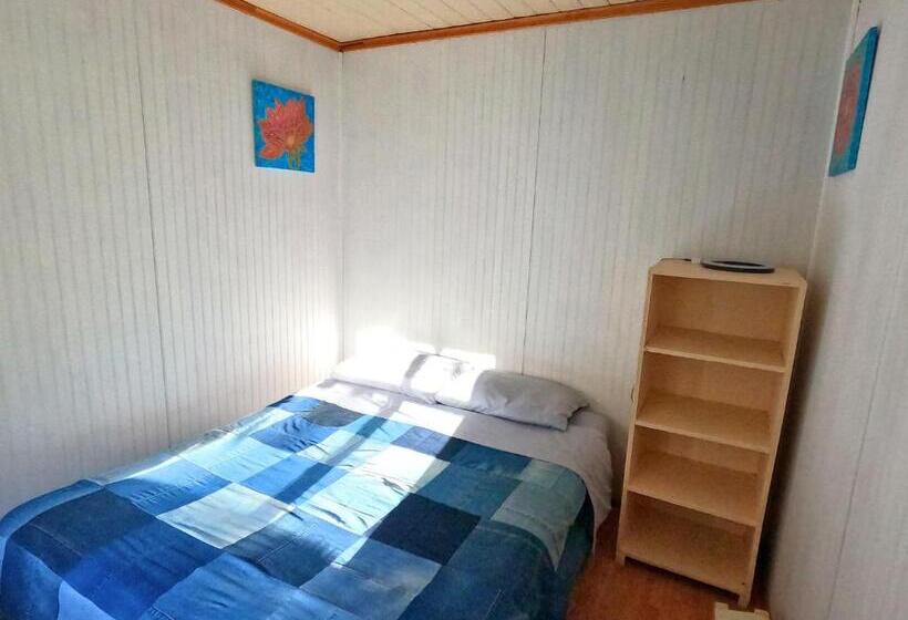 Номер Стандарт, Punto Rockstar Osorno