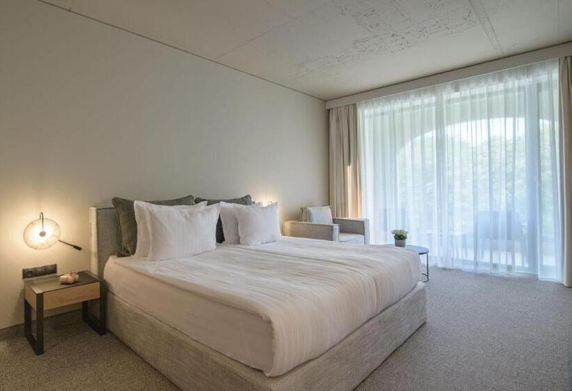 Chambre Executive Vue Parc, Ensana Aquahouse