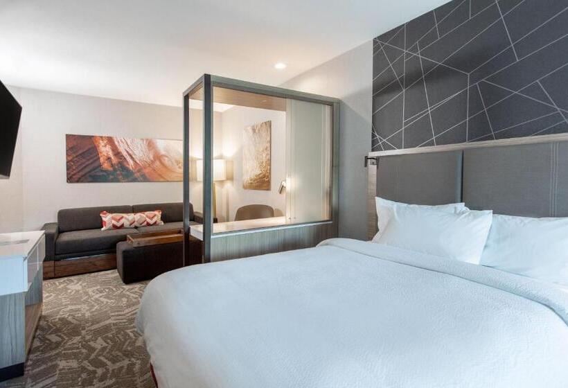 适合残疾人士使用的套间, Springhill Suites By Marriott Chester