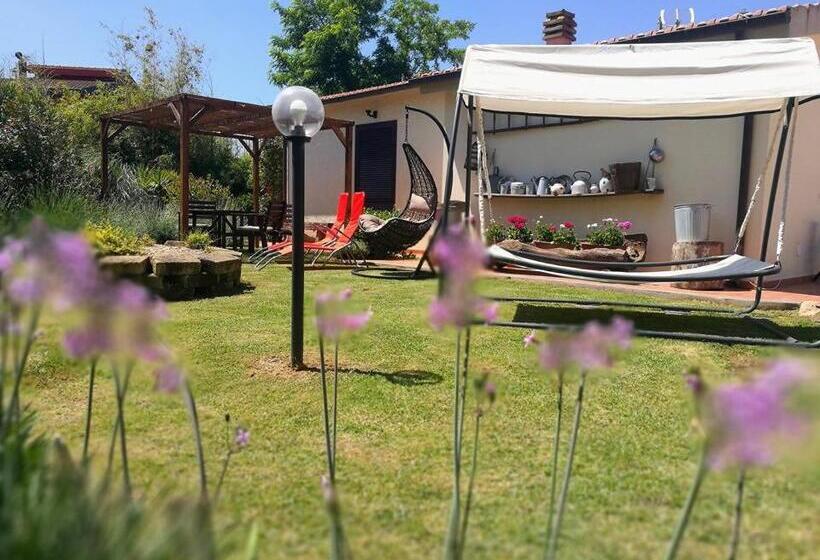 Апартаменты 1 Спальня Нижний Этаж, Agriturismo La Valle Dell Albegna