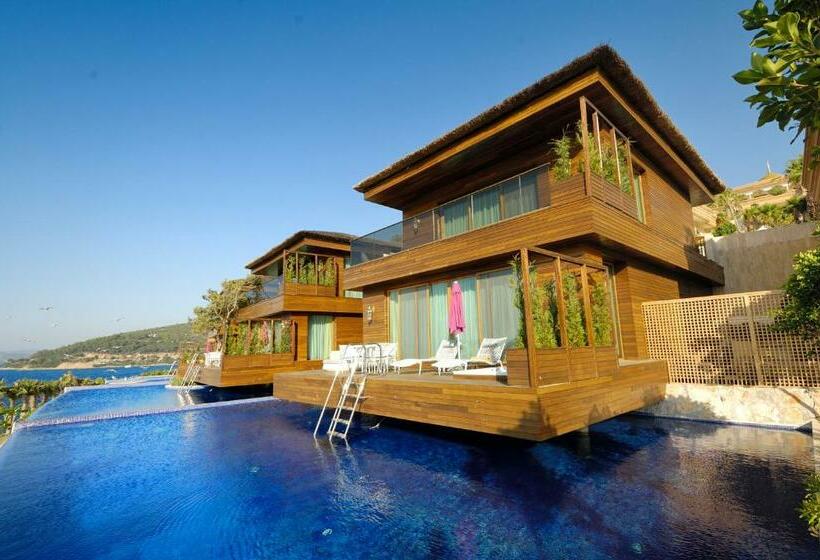 ویلای 1 خوابه, The Plaza Bodrum