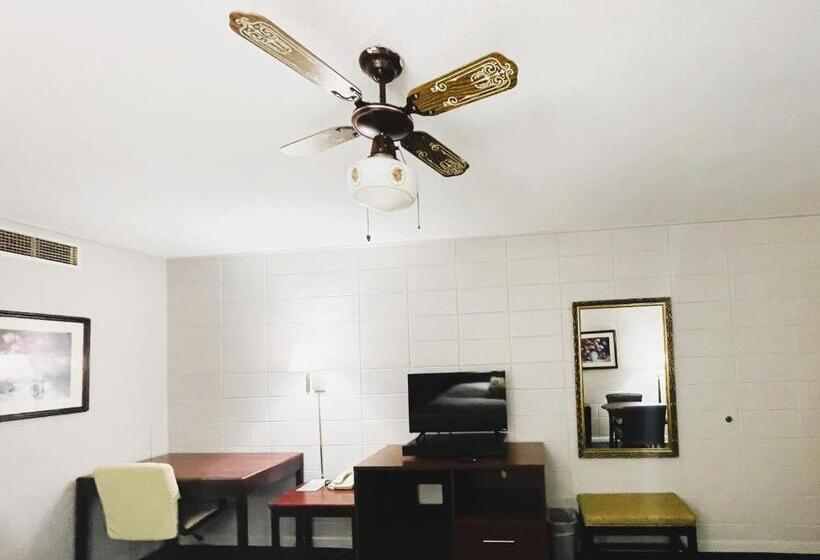 Номер Deluxe Одноместный, The Madison Inn Motel