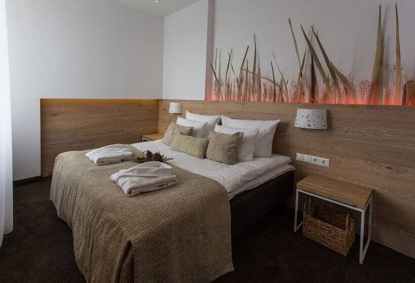 اتاق استاندارد با دسترسی به اسپا, Spa Vilnius Druskininkai