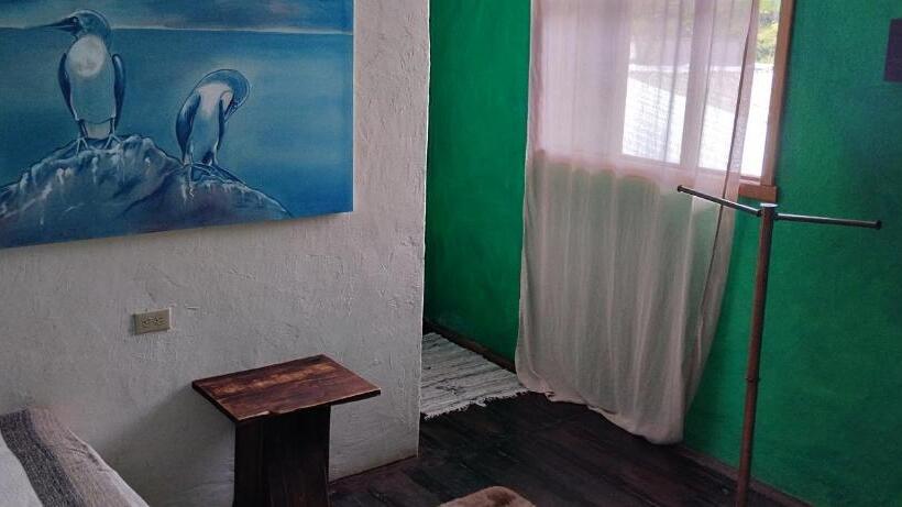 اتاق استاندارد, Galapagos Morning Glory