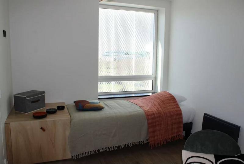 Апартаменты 1 Спальня, Cowool Toulouse
