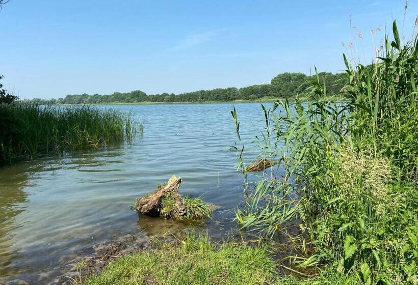 Номер Стандарт, K 357   Low Budget Hotel   Ostsee Lounge   In Ratekau Bei Lübeck