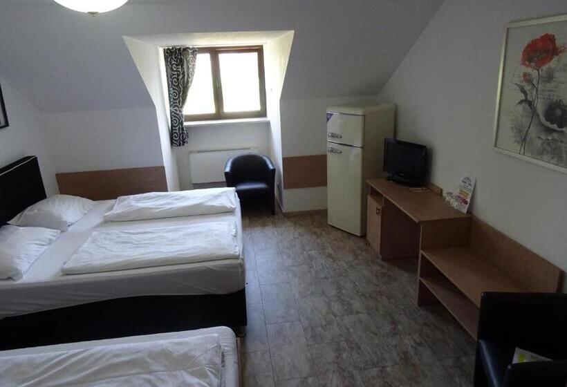 스탠다드 스튜디오, Apparthotel Alte Innbrücke 24std Self Check In