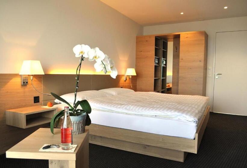 Номер Deluxe Вид на Озеро, Best Western Hotel Rebstock