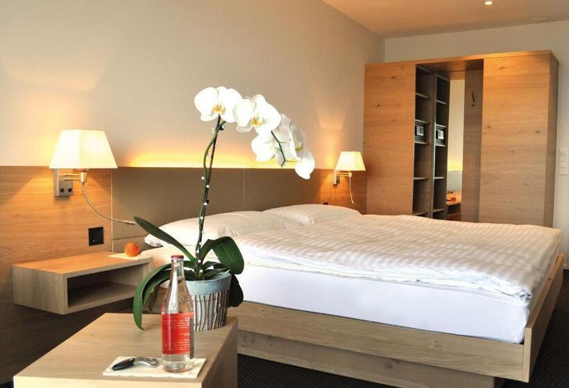 Номер Deluxe Вид на Озеро, Best Western Hotel Rebstock