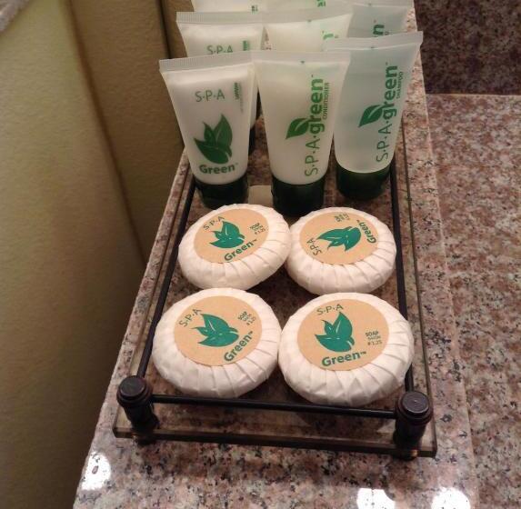Mini Suite, Best Inn & Suites