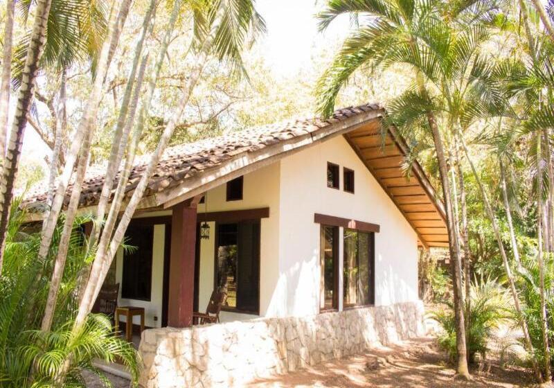 Номер Superior, Hacienda La Pacifica