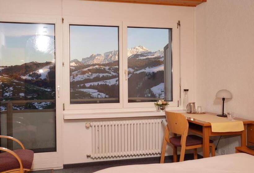 חדר סטנדרט יחיד, Swiss Views
