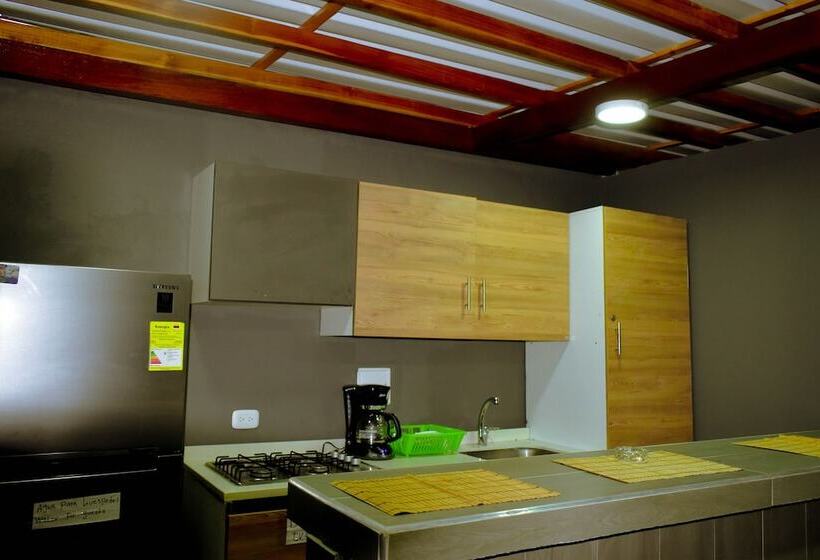 Кровать в Общей Комнате, Hostal Seven Nights Cartagena