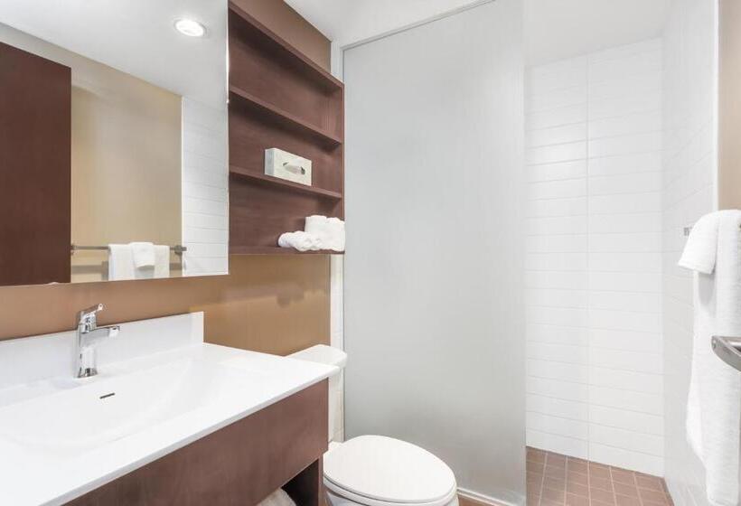 Номер бизнес-класса, Microtel Inn & Suites By Wyndham Estevan