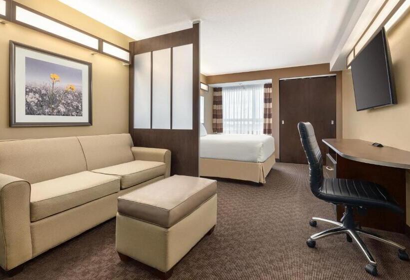 Номер бизнес-класса, Microtel Inn & Suites By Wyndham Estevan